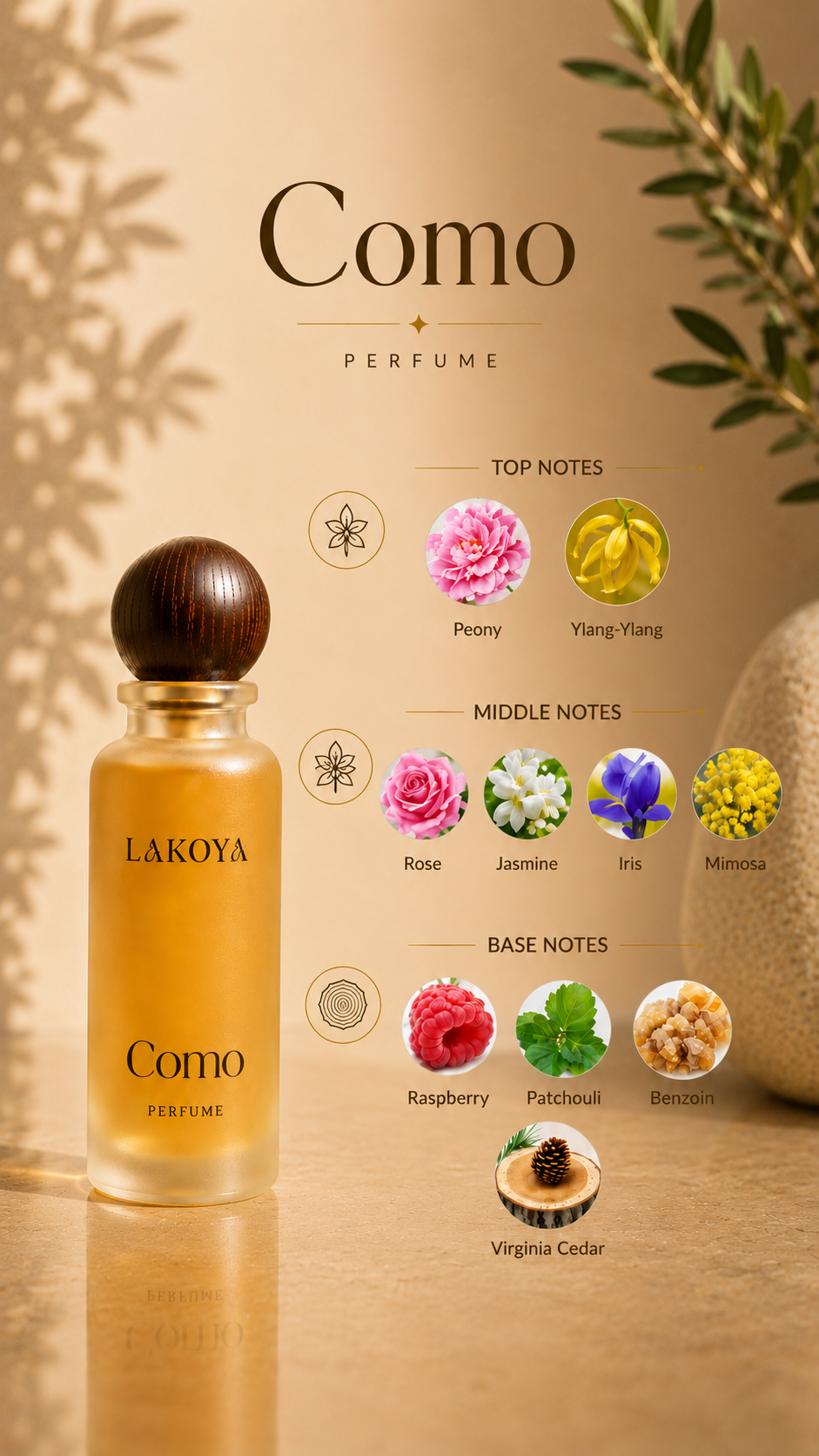 Como EDP